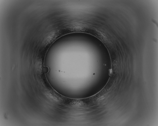 X0000093590642200710151205