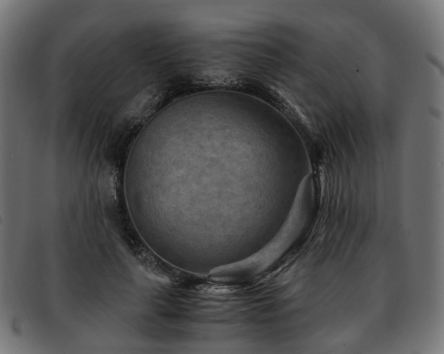 X0000093590643200710151205