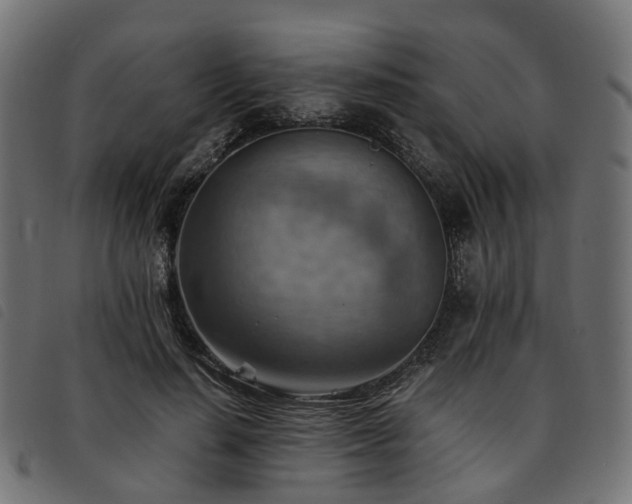 X0000093590644200710151205