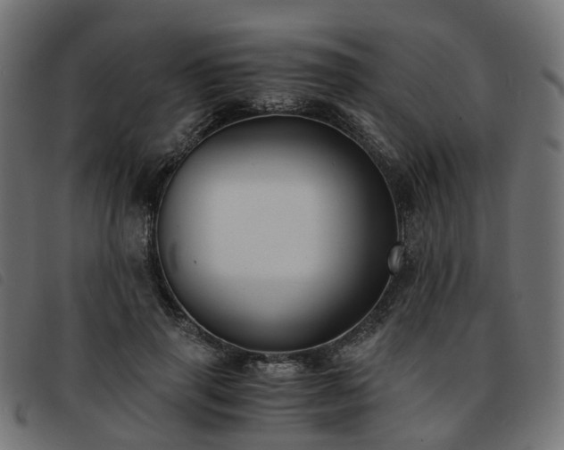 X0000093590645200710151205