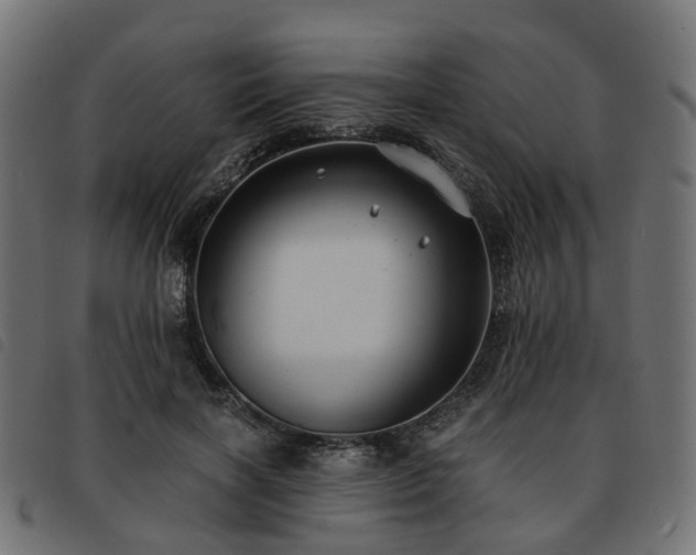 X0000093590646200710151205