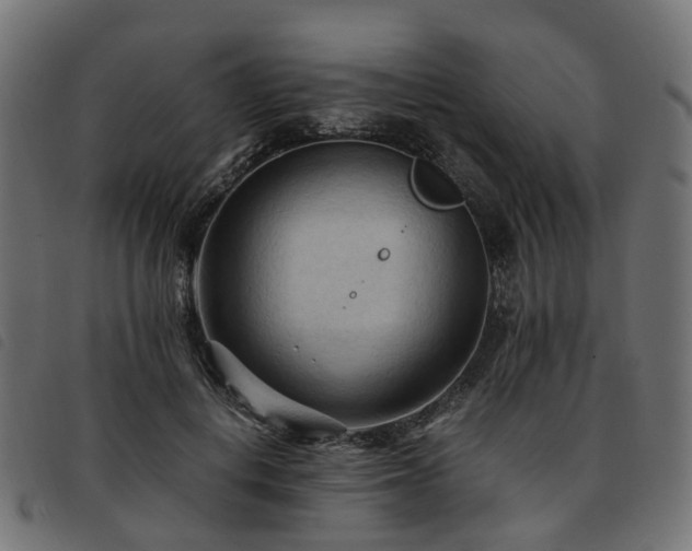 X0000093590648200710151205