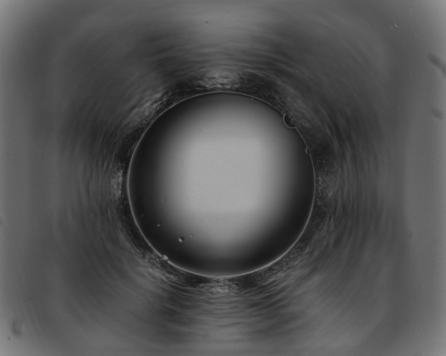 X0000093590652200710151205