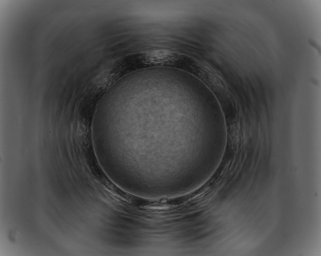 X0000093590653200710151205