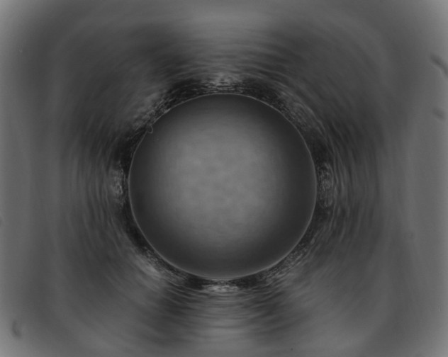 X0000093590654200710151205