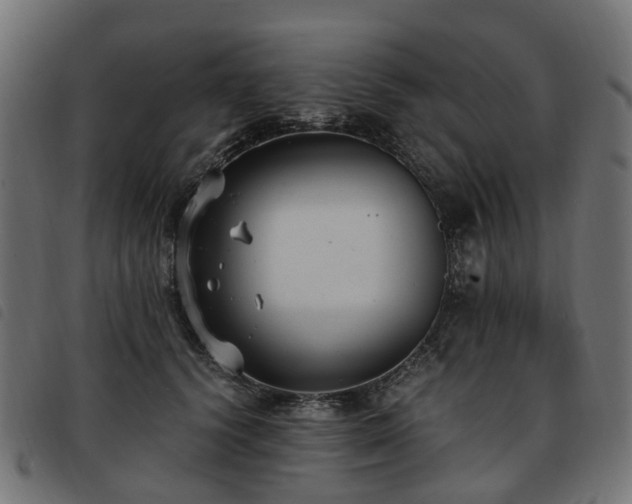 X0000093590656200710151205