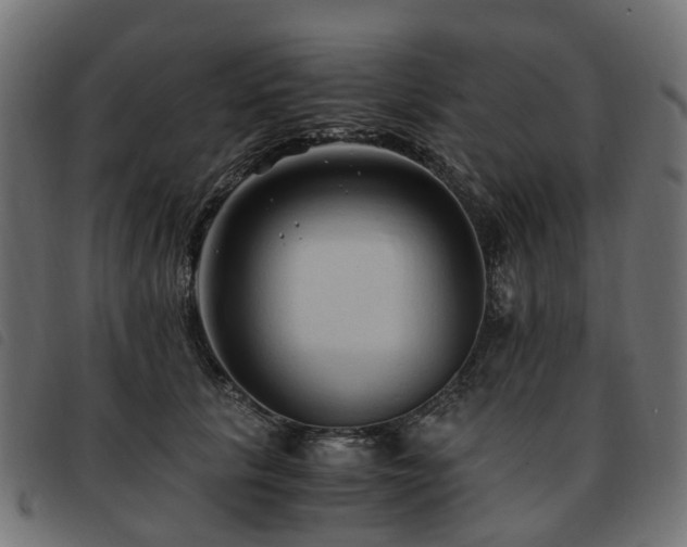 X0000093590657200710151205