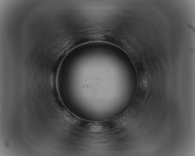 X0000093590658200710151205