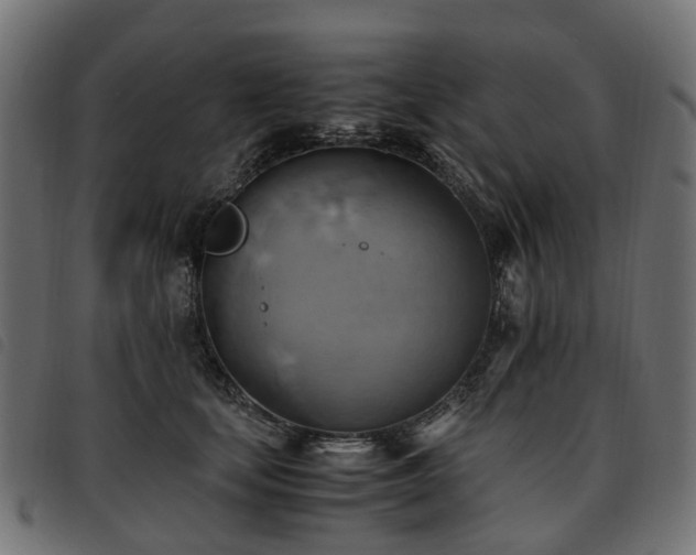 X0000093590659200710151205