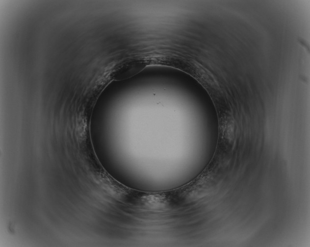 X0000093590660200710151205