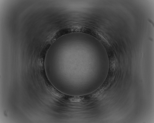 X0000093590661200710151205