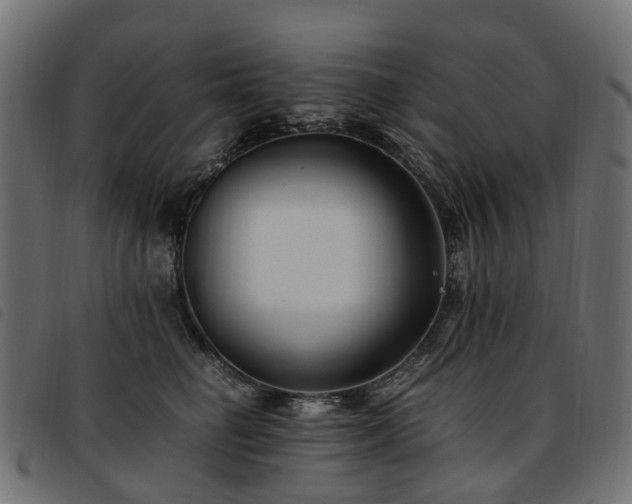 X0000093590662200710151205