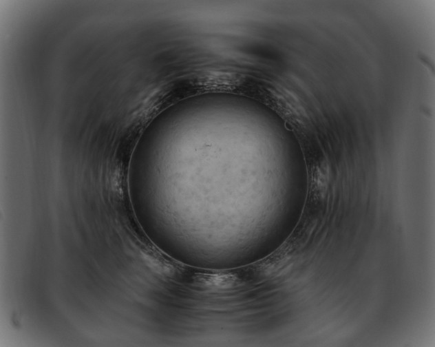 X0000093590663200710151205