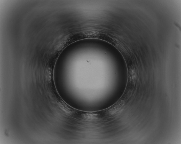 X0000093590664200710151205