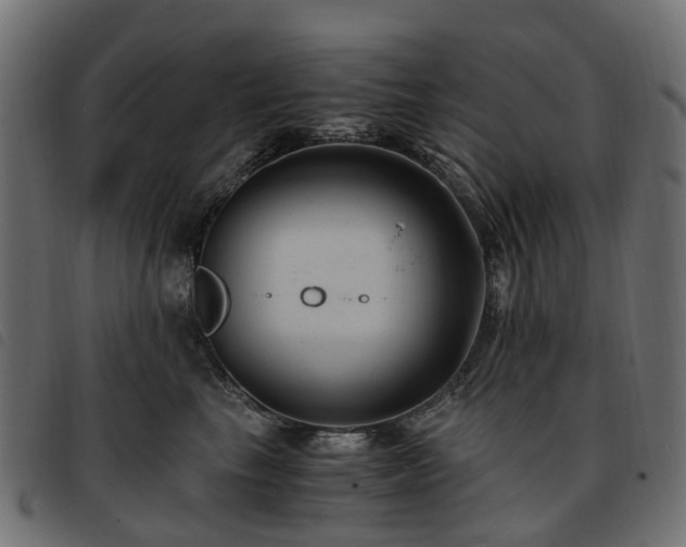 X0000093590665200710151205