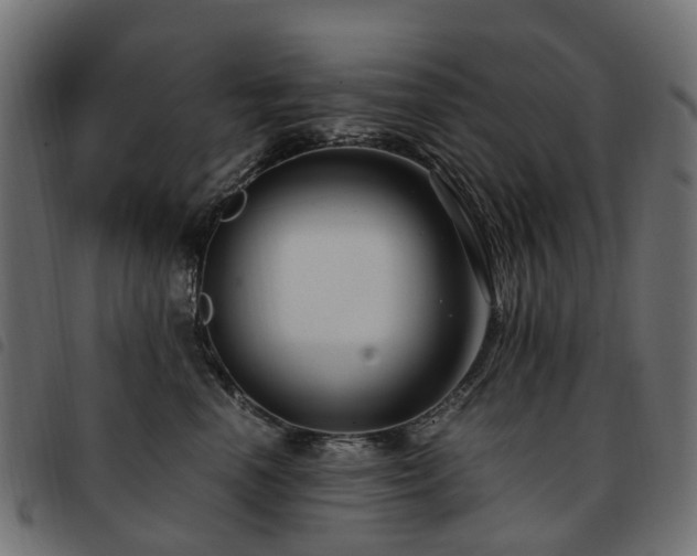 X0000093590666200710151205