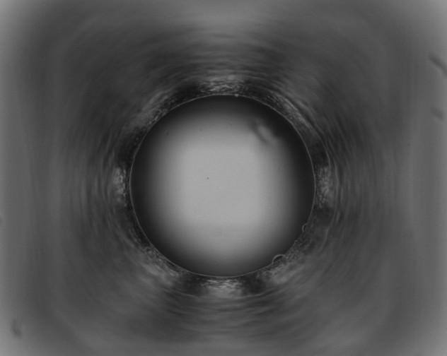X0000093590667200710151205