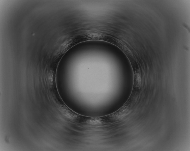 X0000093590668200710151205