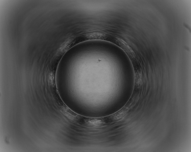 X0000093590669200710151205