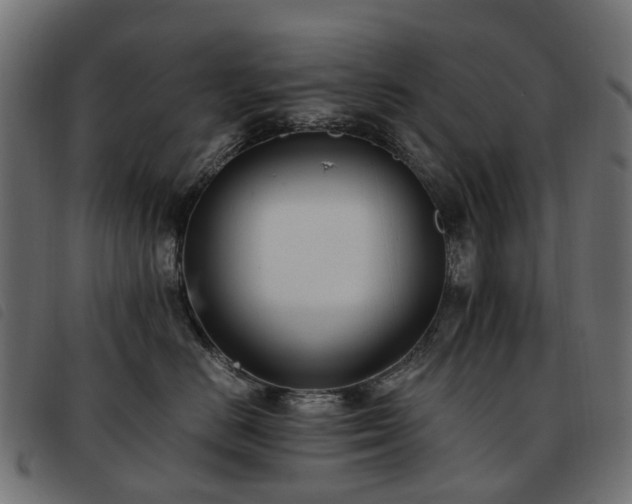 X0000093590670200710151205