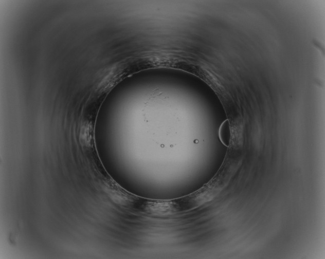 X0000093590671200710151205