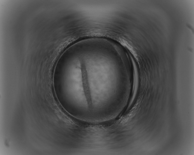 X0000093590673200710151205