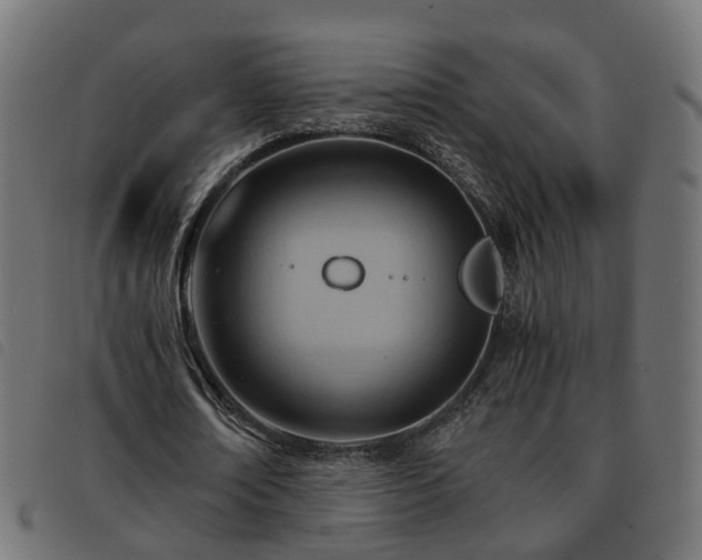 X0000093590674200710151204