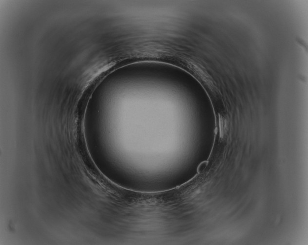 X0000093590675200710151204