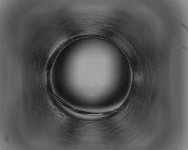 X0000093590676200710151204