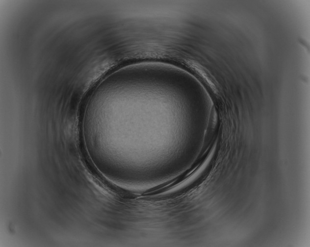 X0000093590677200710151204