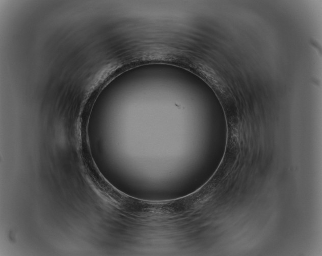 X0000093590678200710151204