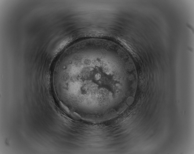 X0000093590679200710151204
