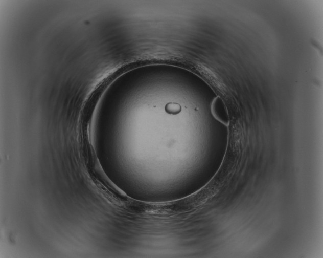 X0000093590680200710151204