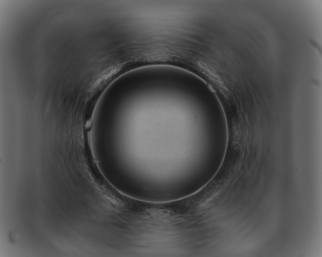 X0000093590681200710151204