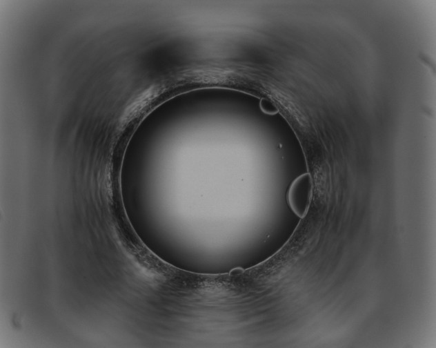 X0000093590682200710151204