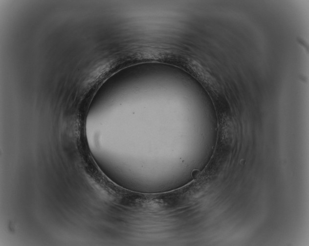 X0000093590683200710151204