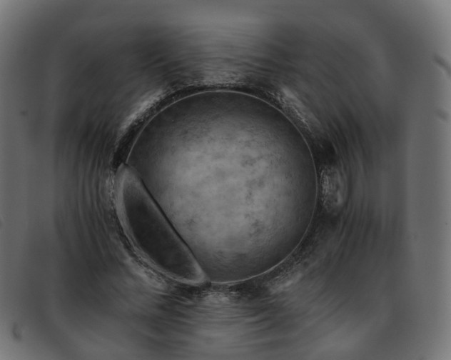 X0000093590684200710151204