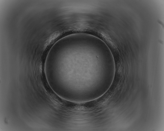 X0000093590685200710151204