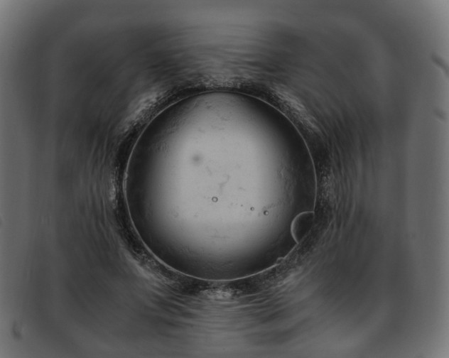 X0000093590687200710151204