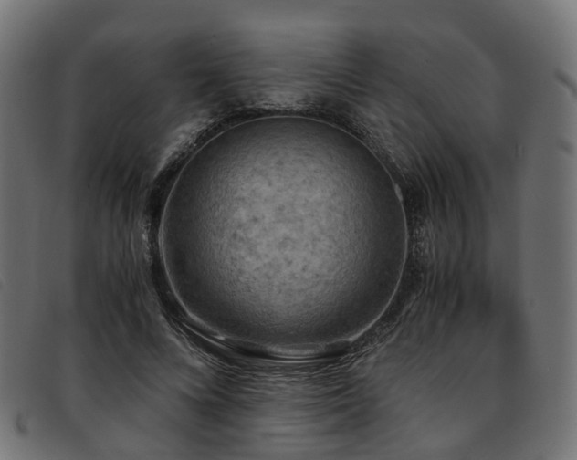 X0000093590688200710151204