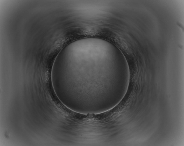 X0000093590689200710151204