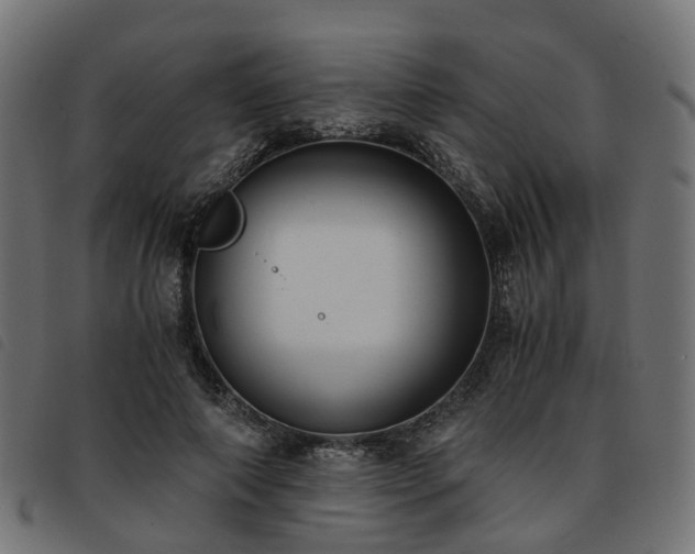 X0000093590690200710151204