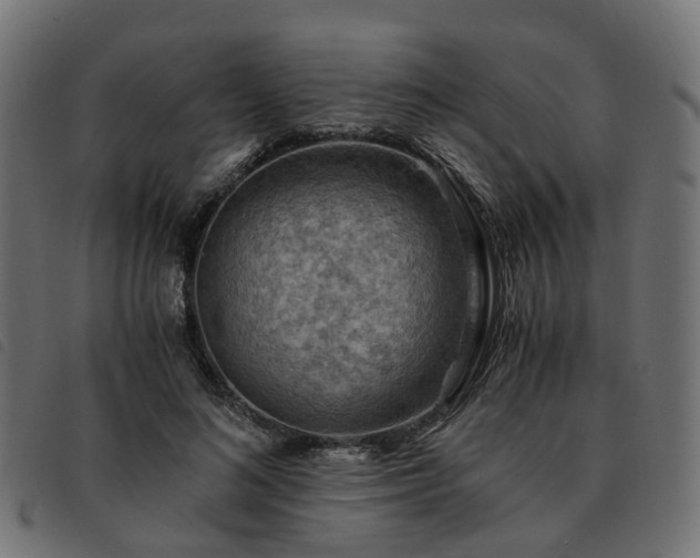 X0000093590692200710151204
