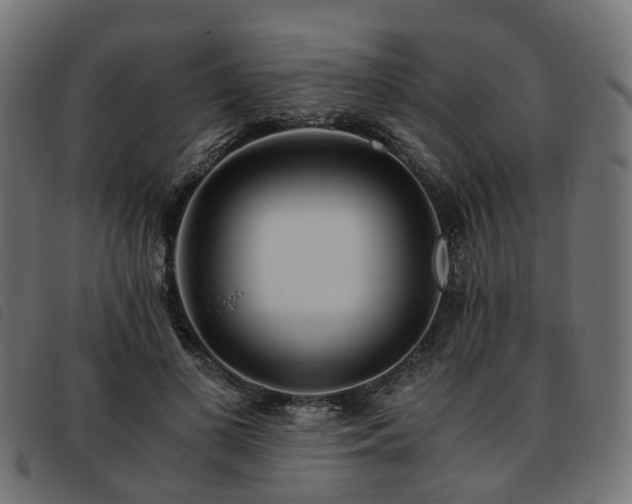 X0000093590693200710151204