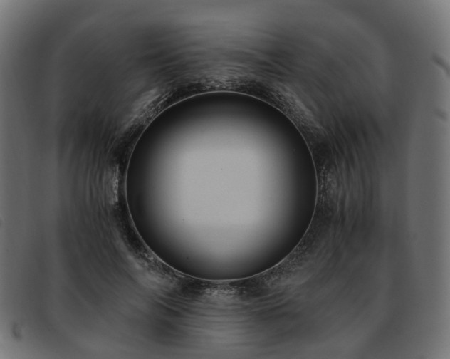 X0000093590694200710151204