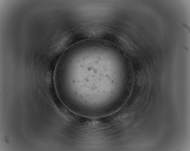 X0000093590695200710151204