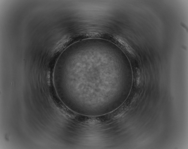 X0000093590696200710151204