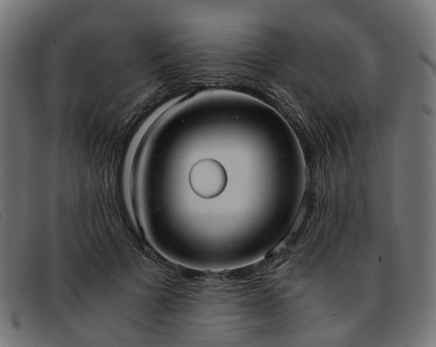 X0000093590697200710151204