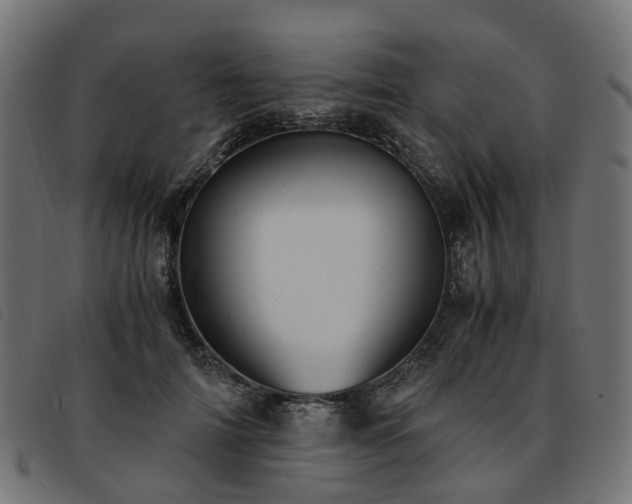 X0000093590698200710151204