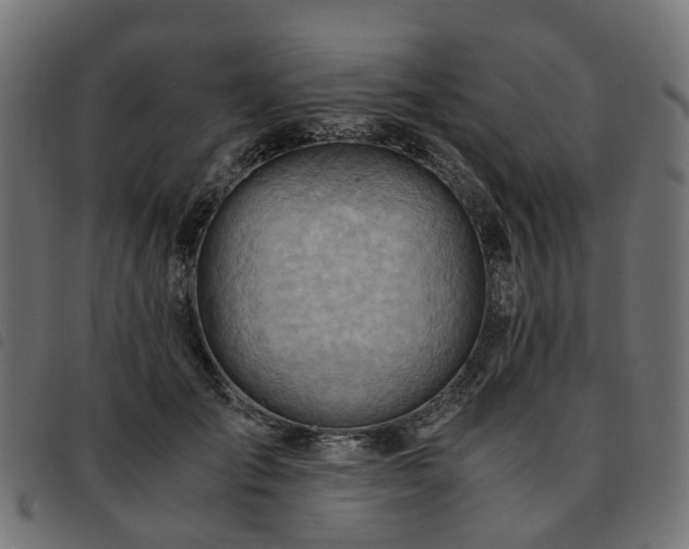 X0000093590701200710151204